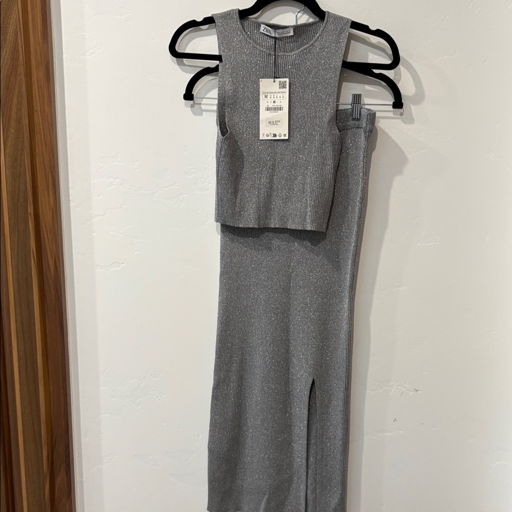 Zara Shimmering Gray Sleeveless Top and Skirt Set